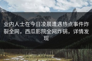 业内人士在今日凌晨遭遇热点事件炸裂全网，西瓜影院全网炸锅，详情发现
