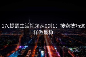 17c提醒生活视频从0到1：搜索技巧这样做最稳