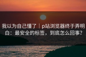 我以为自己懂了｜p站浏览器终于弄明白：最安全的标签，到底怎么回事？