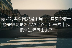 你以为黑料网只是个词——其实牵着一条关键词是怎么被“养”出来的｜我把全过程写出来了