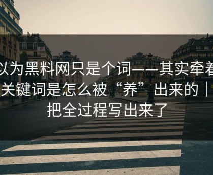 你以为黑料网只是个词——其实牵着一条关键词是怎么被“养”出来的｜我把全过程写出来了