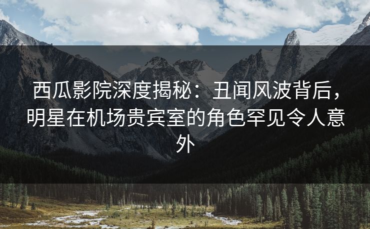 西瓜影院深度揭秘：丑闻风波背后，明星在机场贵宾室的角色罕见令人意外