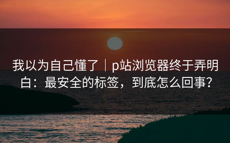 我以为自己懂了｜p站浏览器终于弄明白：最安全的标签，到底怎么回事？