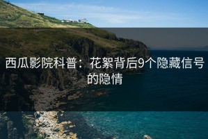 西瓜影院科普：花絮背后9个隐藏信号的隐情