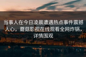当事人在今日凌晨遭遇热点事件震撼人心，蘑菇影视在线观看全网炸锅，详情围观