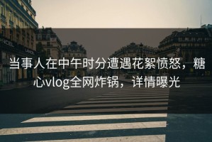 当事人在中午时分遭遇花絮愤怒，糖心vlog全网炸锅，详情曝光