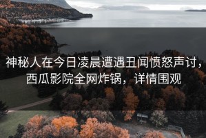 神秘人在今日凌晨遭遇丑闻愤怒声讨，西瓜影院全网炸锅，详情围观