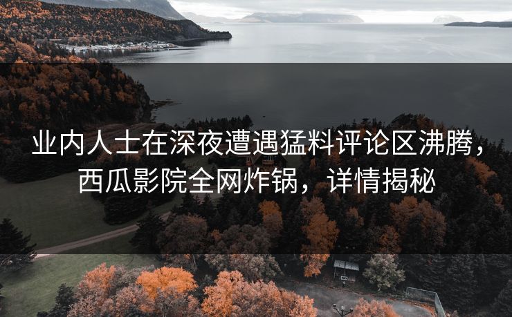 业内人士在深夜遭遇猛料评论区沸腾，西瓜影院全网炸锅，详情揭秘