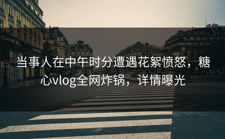 当事人在中午时分遭遇花絮愤怒，糖心vlog全网炸锅，详情曝光